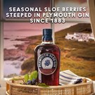 More plymouth-sloe-gin-life-2.jpg